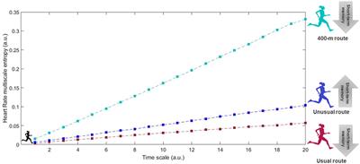 Entropy Measures Can Add Novel Information to Reveal How Runners' Heart Rate and Speed Are Regulated by Different Environments